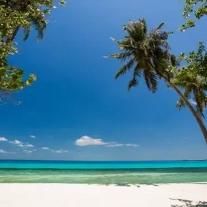 Explore Maldives Culture & Beaches Private Island Hopping 8D/7N for 8 days with Bamba Travel and discover unforgettable experiences - Photo 11