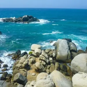 Explore Tayrona Beaches & Lost City Trek 8D/7N for 8 days with Bamba Travel and discover unforgettable experiences - Photo 4