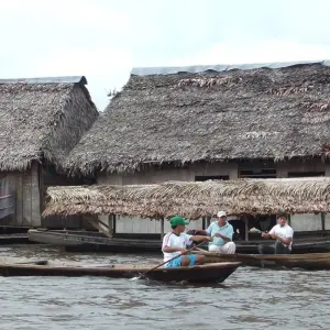 Explore Puerto Maldonado Amazon Field Station 3D/2N (from Puerto Maldonado) for 3 days with Bamba Travel and discover unforgettable experiences - Photo 7