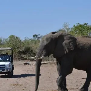 Explore Victoria Falls & Chobe Xtreme Adventure 5D/4N (from Livingstone) for 5 days with Bamba Travel and discover unforgettable experiences - Photo 2