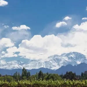 Explore Mendoza Wine & Mountains Adventure 4D/3N for 4 days with Bamba Travel and discover unforgettable experiences - Photo 7