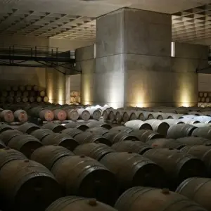 Explore Mendoza Wine & Mountains Adventure 4D/3N for 4 days with Bamba Travel and discover unforgettable experiences - Photo 8