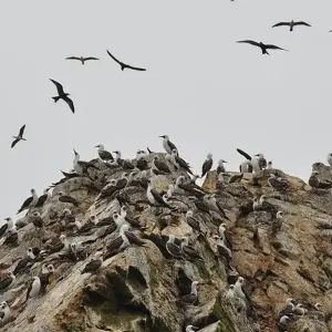 Explore Peru Highlights Adventure 14D/13N (from Lima) for 14 days with Bamba Travel and discover unforgettable experiences - Photo 6