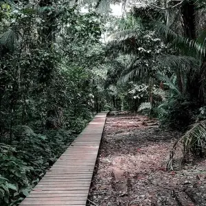 Explore Puerto Maldonado Amazon Field Station 3D/2N (from Puerto Maldonado) for 3 days with Bamba Travel and discover unforgettable experiences - Photo 10