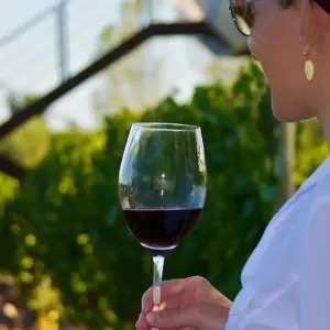 Explore Mendoza Wine & Mountains Adventure 4D/3N for 4 days with Bamba Travel and discover unforgettable experiences - Photo 11