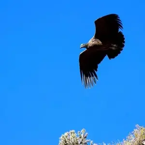 Explore Peru Highlights Adventure 14D/13N (from Lima) for 14 days with Bamba Travel and discover unforgettable experiences - Photo 11