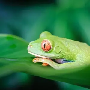 Explore Antigua to Panama City Travel Pass for 35 days with Bamba Travel and discover unforgettable experiences - Photo 11