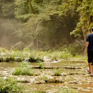 Explore San Jose to Mexico City Travel Pass for 43 days with Bamba Travel and discover unforgettable experiences - Photo 11