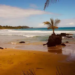Explore Panama North to South Adventure 6D/5N for 6 days with Bamba Travel and discover unforgettable experiences - Photo 3