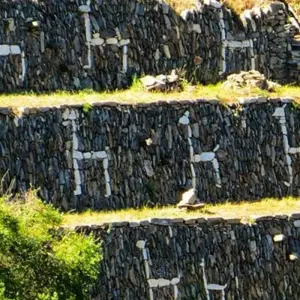 Explore Choquequirao Trek 5D/4N for 5 days with Bamba Travel and discover unforgettable experiences - Photo 9
