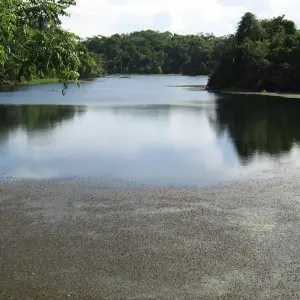 Explore Panama City Express 5D/4N for 5 days with Bamba Travel and discover unforgettable experiences - Photo 5