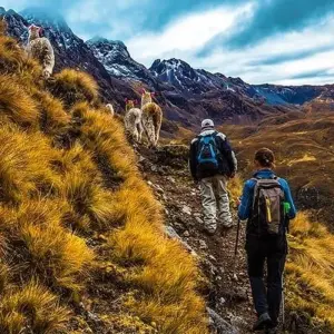 Explore Ultimate Inca Trail Trek to Machu Picchu 4D/3N for 4 days with Bamba Travel and discover unforgettable experiences - Photo 7