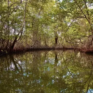 Explore Panama North to South Adventure 6D/5N for 6 days with Bamba Travel and discover unforgettable experiences - Photo 6