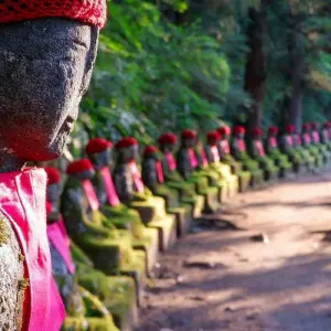 Explore Spirit of Japan 14D/13N for 14 days with Bamba Travel and discover unforgettable experiences - Photo 8