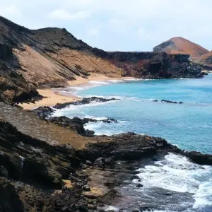 Explore Santa Cruz Island Diving Adventure 7D/6N for 7 days with Bamba Travel and discover unforgettable experiences - Photo 8