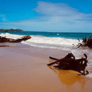 Explore Panama North to South Adventure 6D/5N for 6 days with Bamba Travel and discover unforgettable experiences - Photo 9