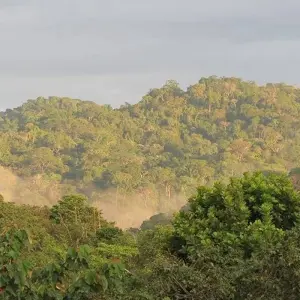 Explore Panama City Express 5D/4N for 5 days with Bamba Travel and discover unforgettable experiences - Photo 9