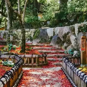 Explore Spirit of Japan 14D/13N for 14 days with Bamba Travel and discover unforgettable experiences - Photo 10