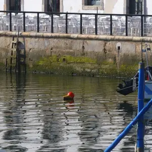 Explore Walking Holidays In Tavira, The Venice Of Algarve for 8 days with Be Cool and discover unforgettable experiences - Photo 7