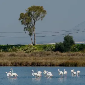 Explore Walking Holidays In Tavira, The Venice Of Algarve for 8 days with Be Cool and discover unforgettable experiences - Photo 8