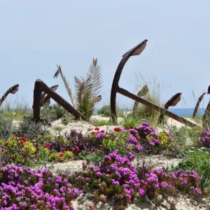 Explore Walking Holidays In Tavira, The Venice Of Algarve for 8 days with Be Cool and discover unforgettable experiences - Photo 9