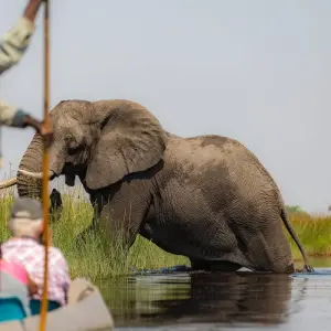 Explore Round Trip Namibia & Botswana & Victoria Falls for 15 days with Bavaria Fernreisen and discover unforgettable experiences - Photo 5