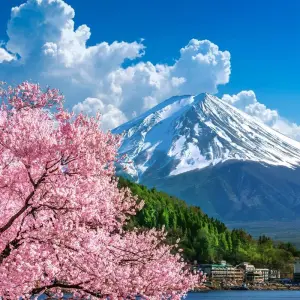 Explore Tour - Japan Bonsai for 11 days with Bavaria Fernreisen and discover unforgettable experiences - Photo 9