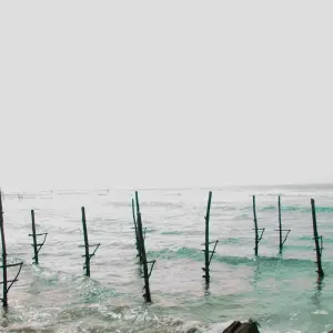 Explore Small Group Roundtrip & Bathing - Sri Lanka & Maldives (incl. flight) for 15 days with Bavaria Fernreisen and discover unforgettable experiences - Photo 2