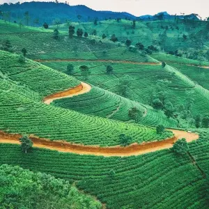 Explore Small Group Roundtrip & Bathing - Sri Lanka & Maldives (incl. flight) for 15 days with Bavaria Fernreisen and discover unforgettable experiences - Photo 3