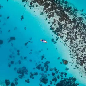 Explore Small Group Roundtrip & Bathing - Sri Lanka & Maldives (incl. flight) for 15 days with Bavaria Fernreisen and discover unforgettable experiences - Photo 6