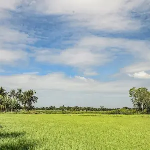 Vietnam & Cambodia: Small Group Roundtrip & Bathing (incl. flight) - 21 days with Bavaria Fernreisen - Photo 3 Explore Vietnam & Cambodia: Small Group Roundtrip & Bathing (incl. flight) for 21 days with Bavaria Fernreisen and discover unforgettable experiences - Photo 3