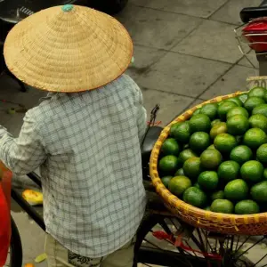 Vietnam & Cambodia: Small Group Roundtrip & Bathing (incl. flight) - 21 days with Bavaria Fernreisen - Photo 8 Explore Vietnam & Cambodia: Small Group Roundtrip & Bathing (incl. flight) for 21 days with Bavaria Fernreisen and discover unforgettable experiences - Photo 8