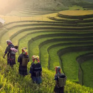 Explore Vietnam & Bathing in Phan Thiet (incl. flight) Private Active Tour for 21 days with Bavaria Fernreisen and discover unforgettable experiences - Photo 10