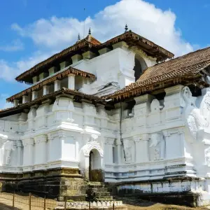 Explore Sri Lanka & Maldives (incl. flight) small group tour for 15 days with Bavaria Fernreisen and discover unforgettable experiences - Photo 3