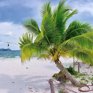 Explore Private Tour & Bathing - Cambodia (incl. flight) for 14 days with Bavaria Fernreisen and discover unforgettable experiences - Photo 2