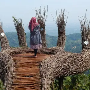 Explore Small Group Roundtrip & Bathing - Indonesia (incl. flight) for 15 days with Bavaria Fernreisen and discover unforgettable experiences - Photo 5