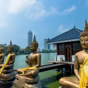 Explore Sri Lanka: City & Beach Tour (incl. flight) (14 destinations) for 15 days with Bavaria Fernreisen and discover unforgettable experiences - Photo 3