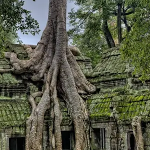 Explore Private Tour & Bathing - Cambodia (incl. flight) for 14 days with Bavaria Fernreisen and discover unforgettable experiences - Photo 10