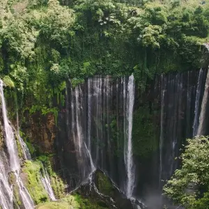 Explore Small Group Roundtrip & Bathing - Indonesia (incl. flight) for 15 days with Bavaria Fernreisen and discover unforgettable experiences - Photo 10