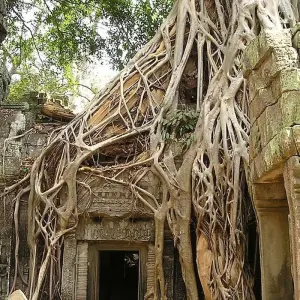 Explore Superior: Roundtrip & Bathing Cambodia small group tour (incl. flight) for 14 days with Bavaria Fernreisen and discover unforgettable experiences - Photo 9