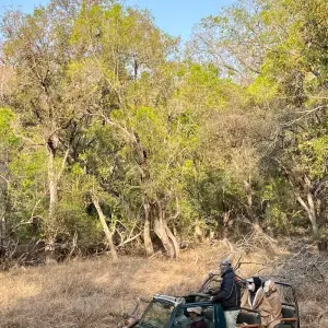 Explore Luxury Taj and Leopards Safari for 5 days with BeMetravels  and discover unforgettable experiences - Photo 3