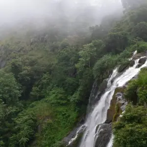 Explore 6 Days and 5 Nights Tour in Sri Lanka - Free Upgrade to Private Tour for 6 days with Beauty Lanka Travels and discover unforgettable experiences - Photo 5