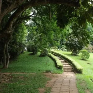 Explore The Supreme Tour Of Sri Lanka (15 Days ) Free Upgrade to Private Tour Available for 15 days with Beauty Lanka Travels and discover unforgettable experiences - Photo 5