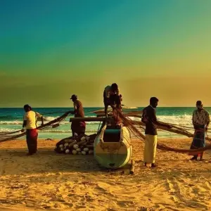 Explore Witness the beauty of South Asia Sri Lanka (09 Days ) Free Upgrade to Private Tour Available for 9 days with Beauty Lanka Travels and discover unforgettable experiences - Photo 5