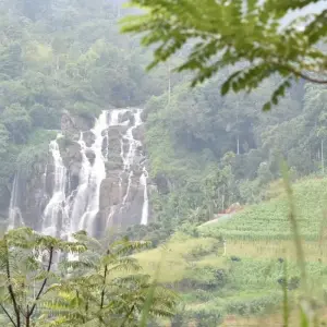 Explore 6 Days and 5 Nights Tour in Sri Lanka - Free Upgrade to Private Tour for 6 days with Beauty Lanka Travels and discover unforgettable experiences - Photo 7