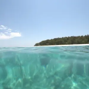 Explore Zanzibar 7 days Family Package, Discover the Spice island Trip Experience for 7 days with Beach and Safari Holidays and discover unforgettable experiences - Photo 7