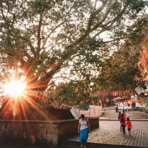 Explore Splendour Of Sri Lanka (7 Days) Free Upgrade to Private Tour Available for 7 days with Beauty Lanka Travels and discover unforgettable experiences - Photo 11