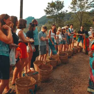 Explore Miniature Tour Of Sri Lanka(4 Days) Free Upgrade to Private Tour Available for 4 days with Beauty Lanka Travels and discover unforgettable experiences - Photo 11