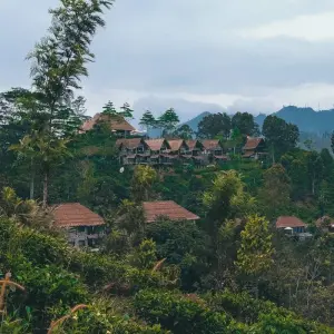 Explore Splendour of Sri Lanka -   ( 8 Days and 7 Nights tour in Sri Lanka ) for 8 days with Beauty Lanka Travels and discover unforgettable experiences - Photo 11