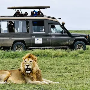 Explore From Arusha: 5 Days Wildlife Odyssey Safari Cats, Calves & Crater, Ngorongoro,Tarangire for 5 days with Beach and Safari Holidays and discover unforgettable experiences - Photo 3